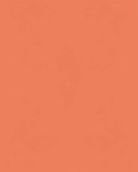Hatte Me! Palette | 17 Daidai